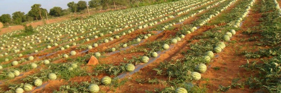 Political Discourse banner
