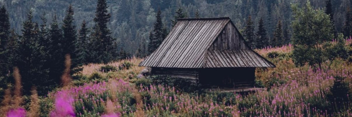 Kate 🇵🇱🇪🇺 banner