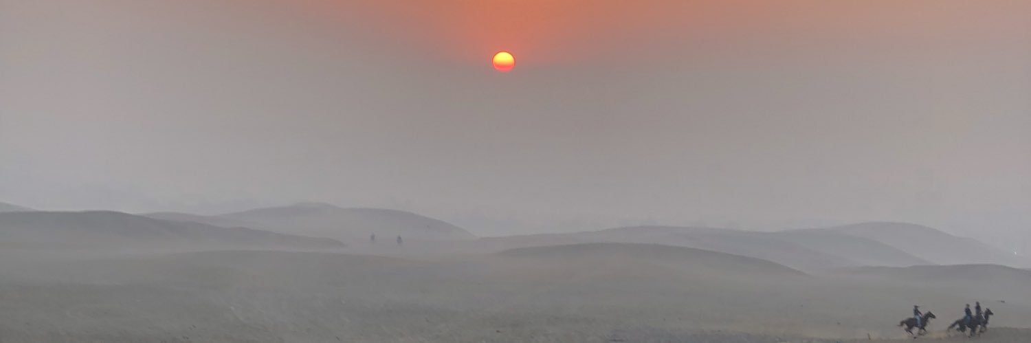 raouf banner