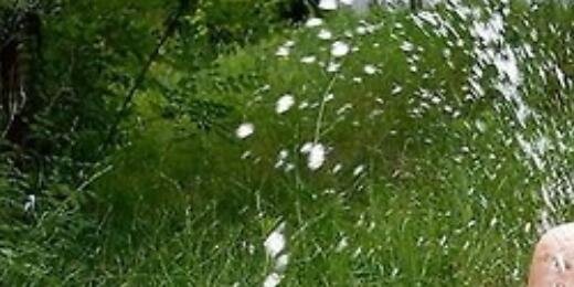 SquirtingHQBabe's profile banner image