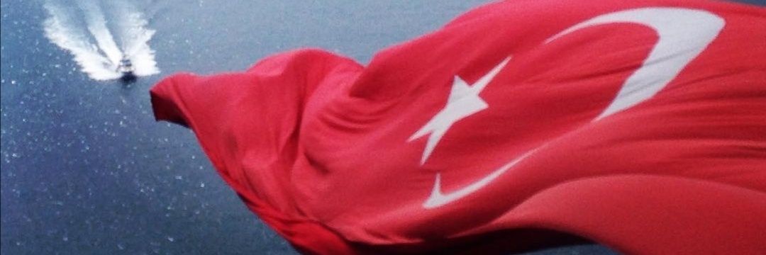 Veverdaa's profile banner image