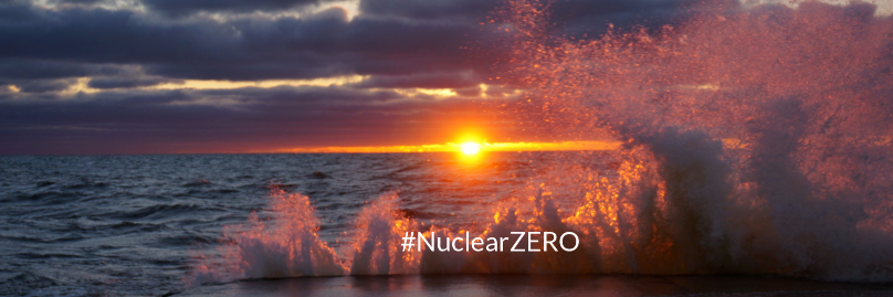 David Krieger banner