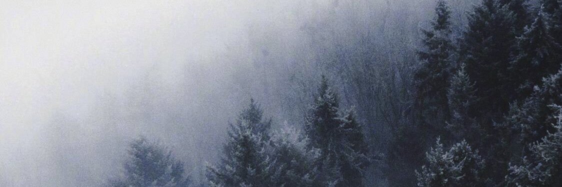 cecahnho's profile banner image