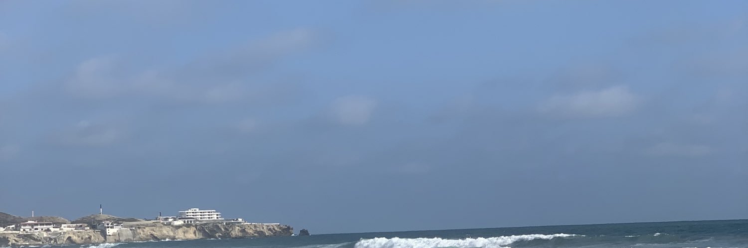 KiwiTobarD's profile banner image