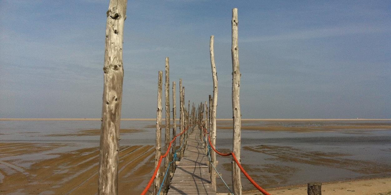 CoastalMatters's profile banner image