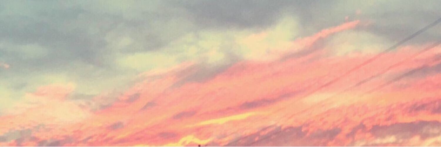 SyLvIa_143's profile banner image