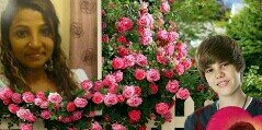 60143674517's profile banner image