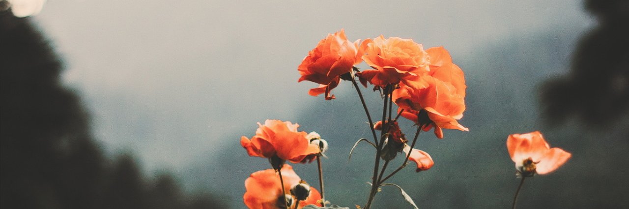 vanessasordia's profile banner image