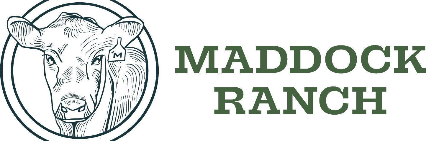 TravisDMaddock's profile banner image