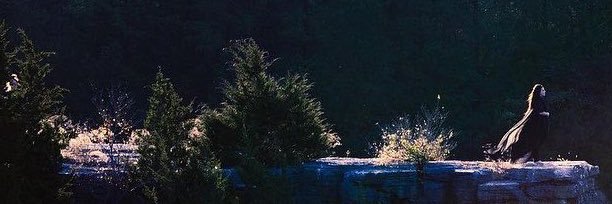 araujulio's profile banner image