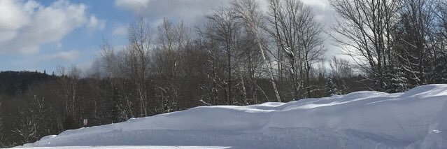 sunn ☀️ banner