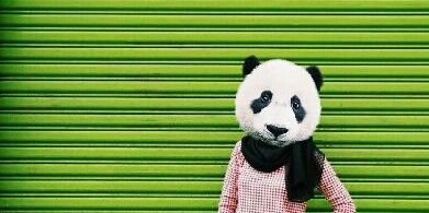 xw_fno's profile banner image