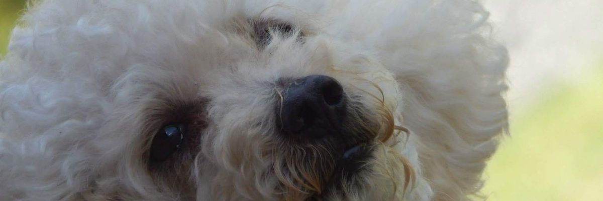 Yuca03's profile banner image