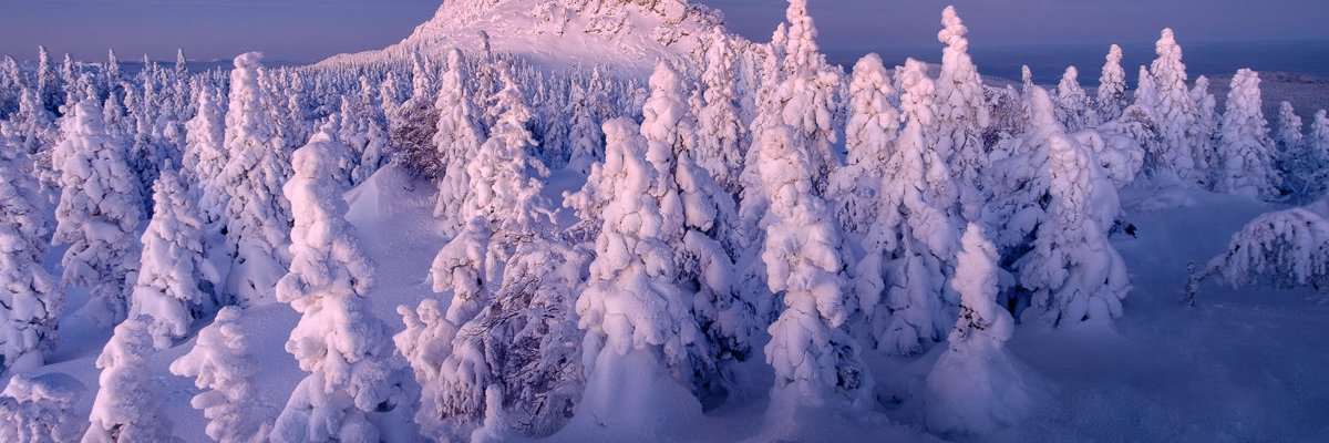 natela696's profile banner image