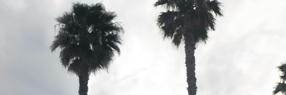 fxbiocean's profile banner image