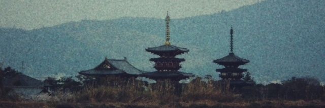 shippo_lee's profile banner image