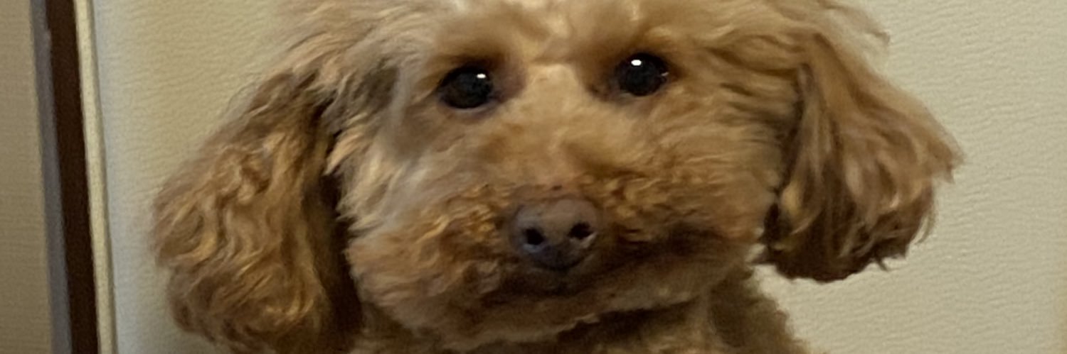 chon_sid's profile banner image