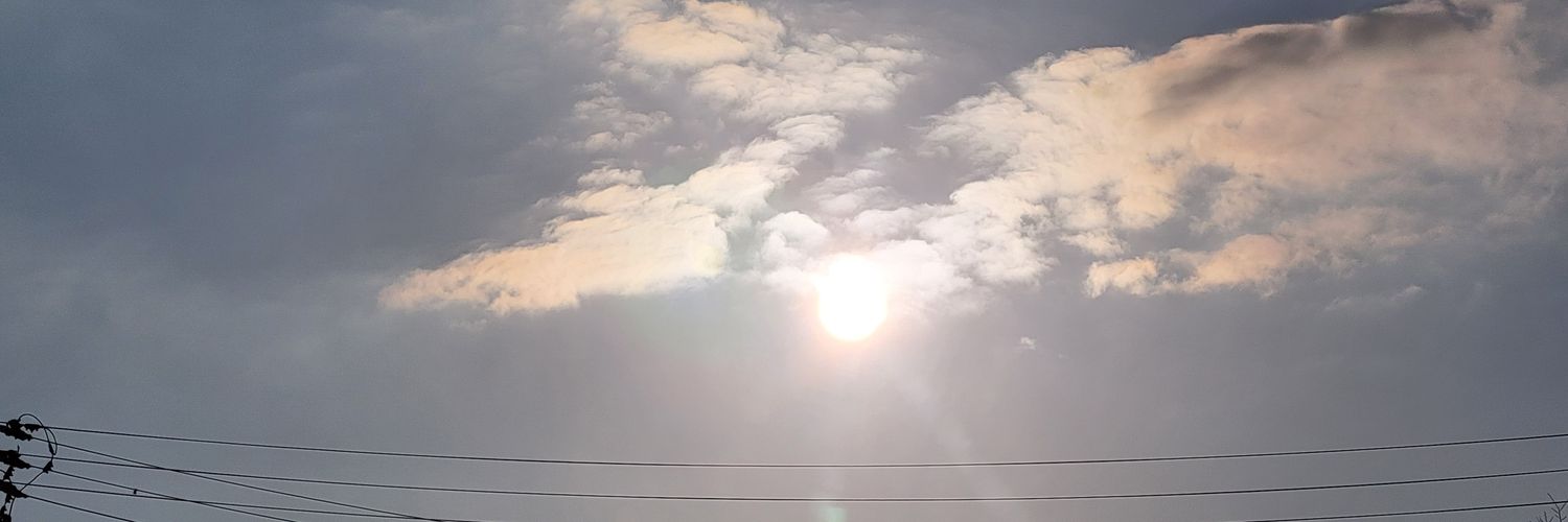 sarpanda75's profile banner image