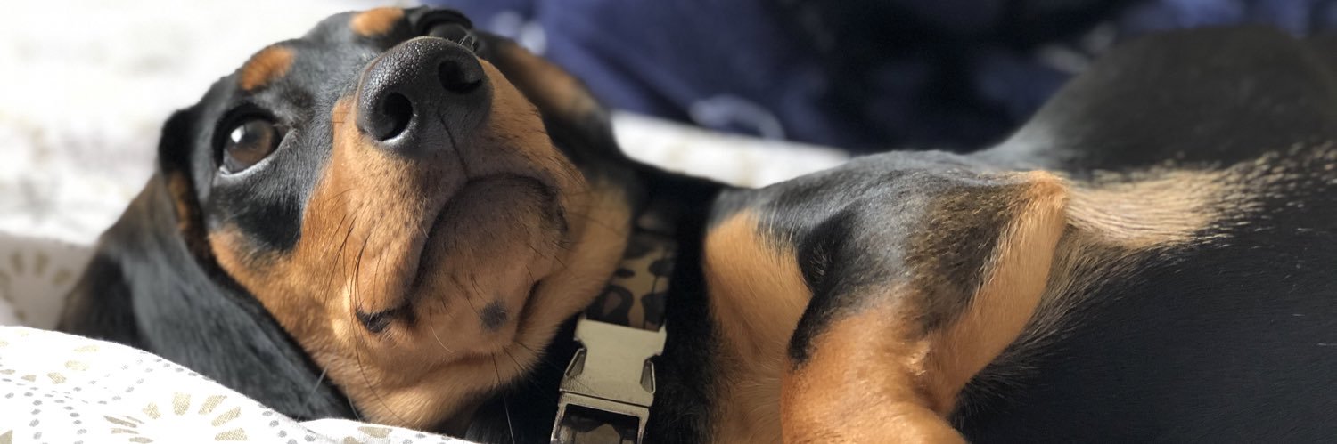 coopy_'s profile banner image