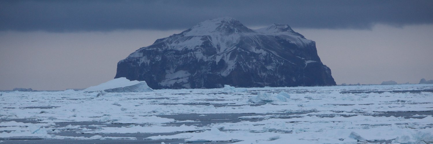 hyperdimensional quantum cat worshiper banner