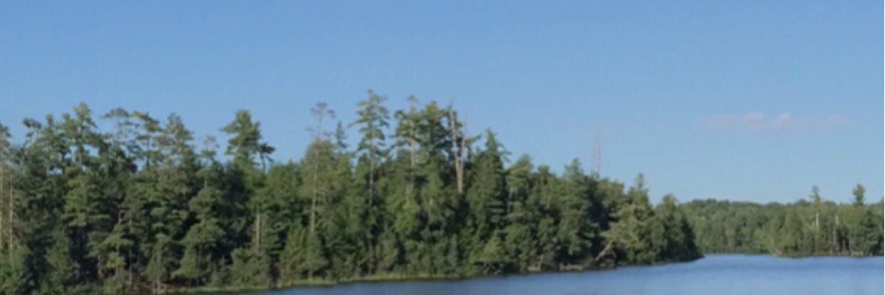 Lori Crawley banner