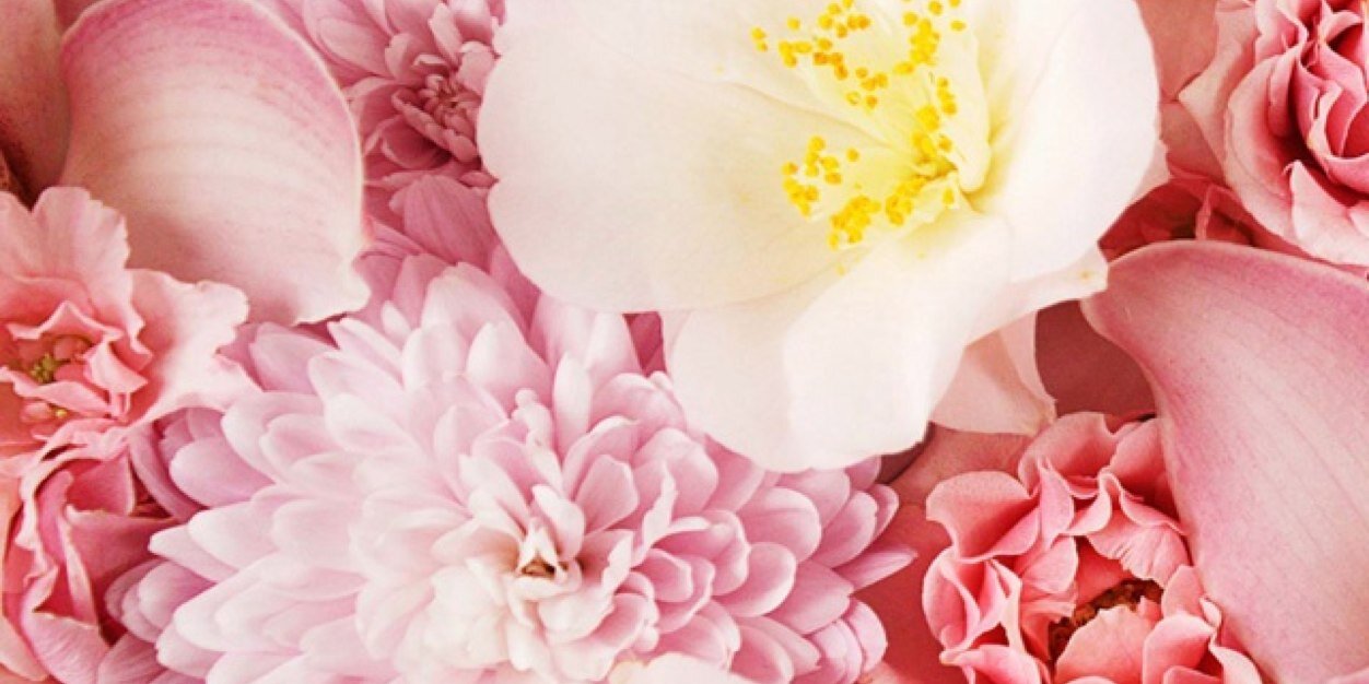 lottilouu's profile banner image