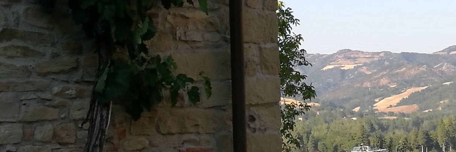 scrutata's profile banner image