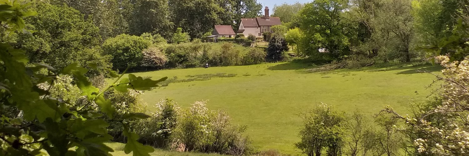 Halstead 21st Century Group 🍃💚🍃 banner