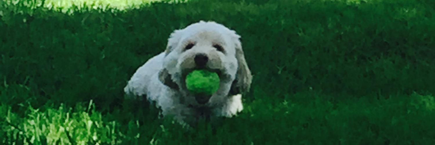 KyraSelman's profile banner image