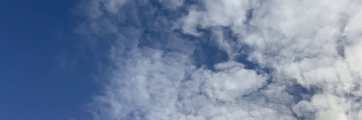 alixbell95's profile banner image