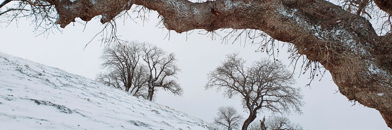 Eng_Darya's profile banner image
