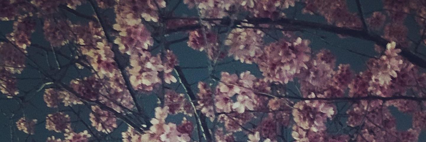 orus_kelebe' 💙 banner