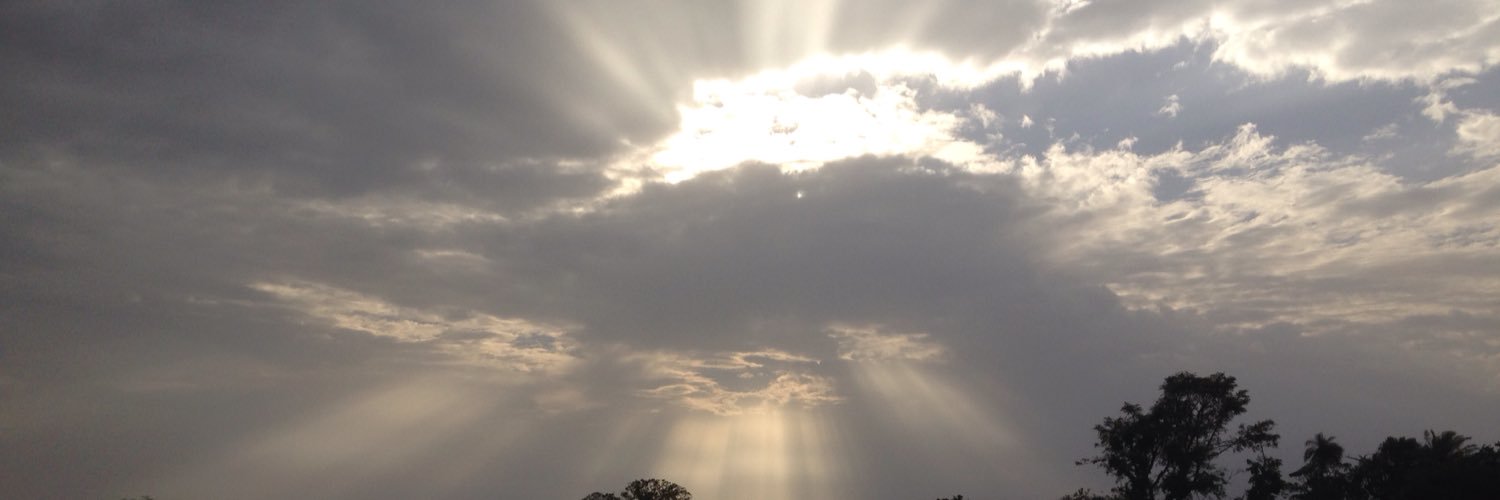rita_waard's profile banner image