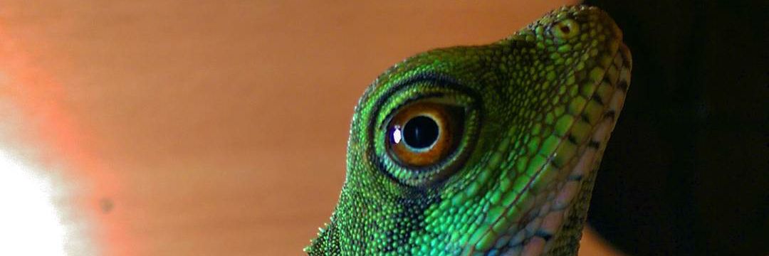 phil_nebular's profile banner image