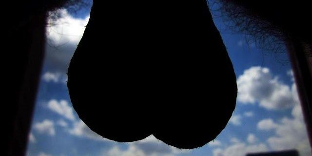 Freshbong69's profile banner image