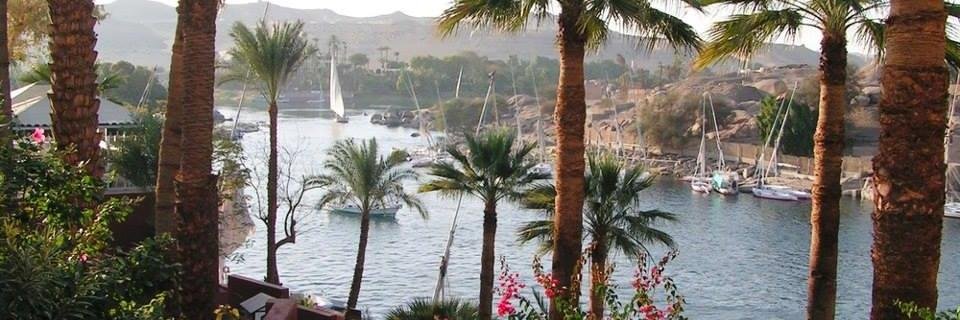 amalmoustafa70's profile banner image