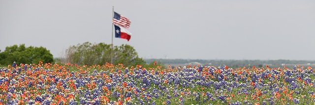 schoolingbudget's profile banner image