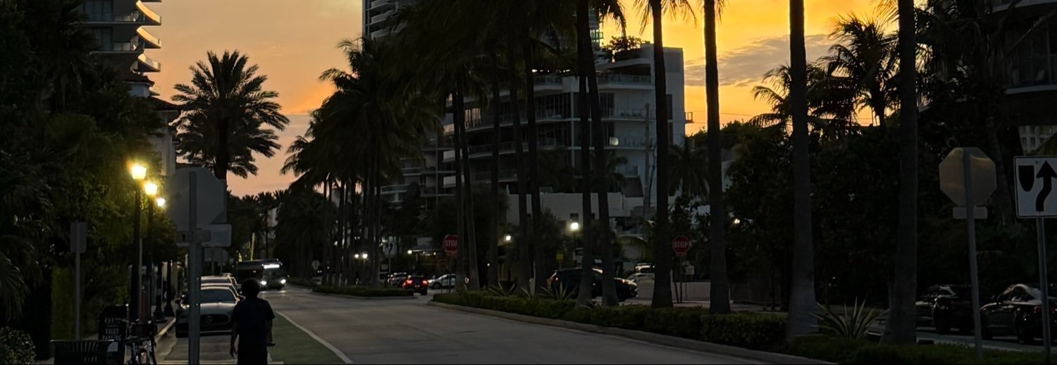 LuBurrafato's profile banner image