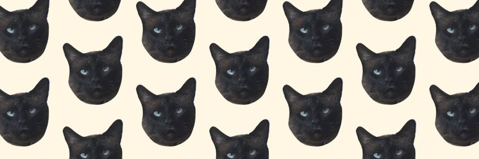 stephvisuales's profile banner image
