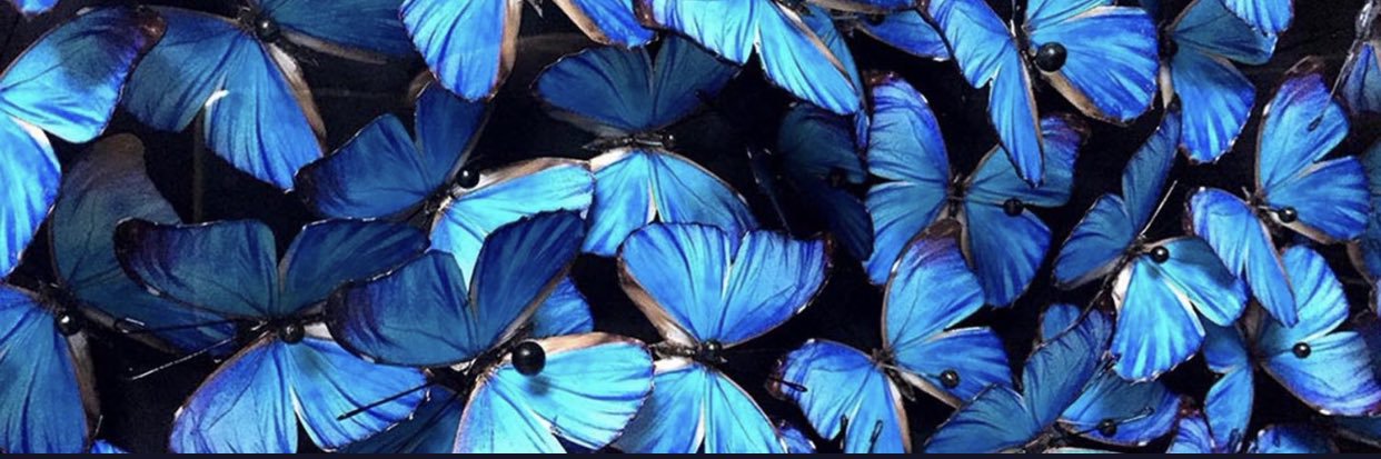 _fablifen's profile banner image