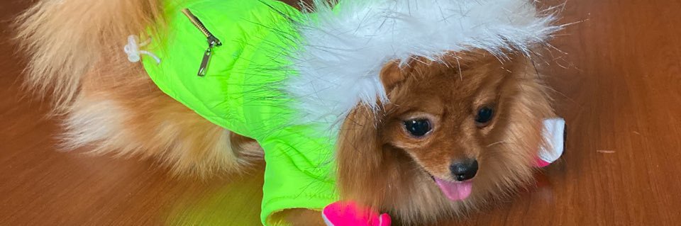 martygrin's profile banner image