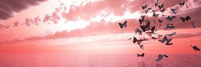 _thataab's profile banner image
