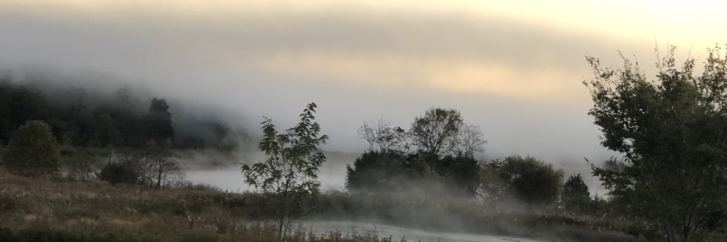 toomuchhate20's profile banner image