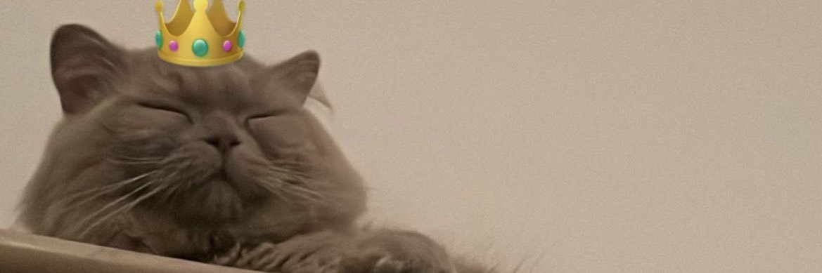OLL1000N's profile banner image