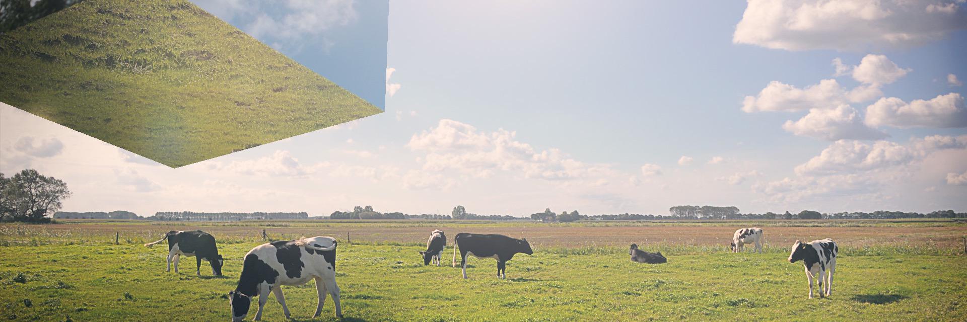 gregorlohman's profile banner image