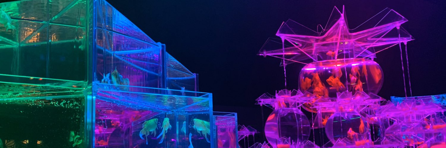 Rscn0211's profile banner image