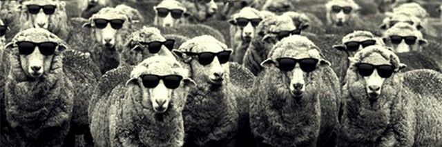 mareanamb_'s profile banner image