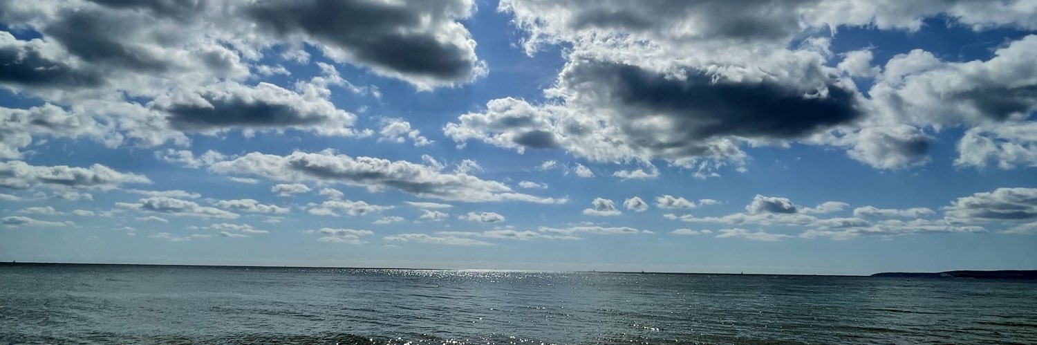 Seth Williams banner