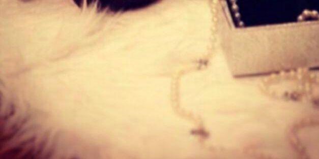 XHM10's profile banner image