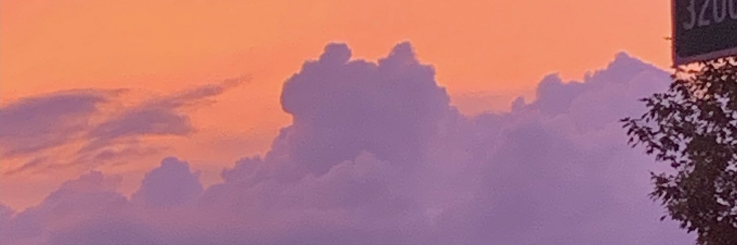 hodyjane_'s profile banner image